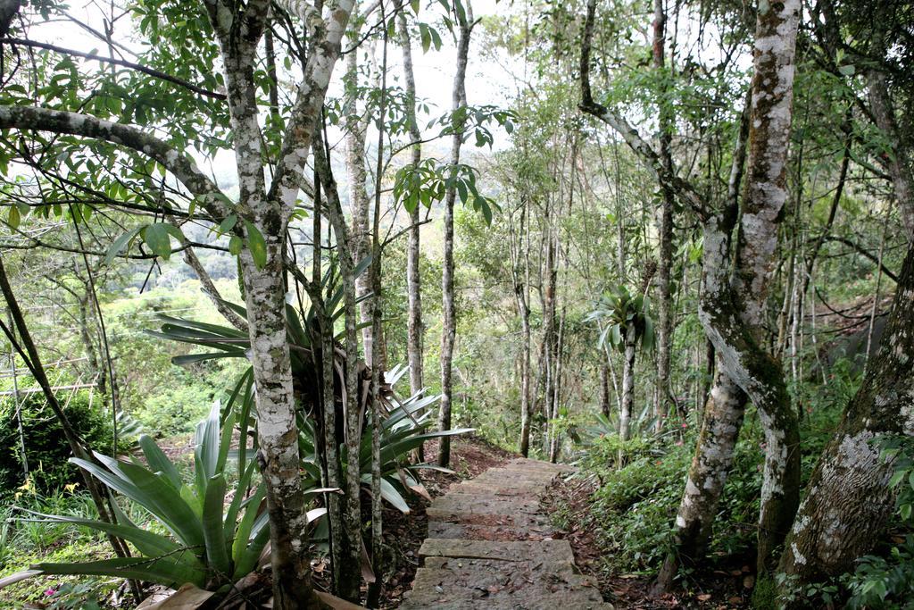 Aroso Paco Hotel Педра-Азул Экстерьер фото A trail in the park